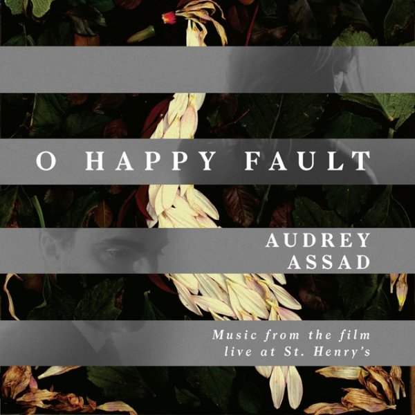 O Happy Fault Album 