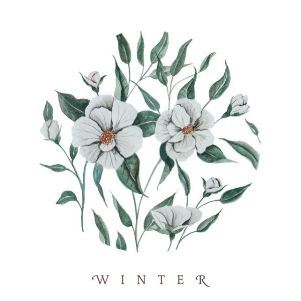 Winter Album 