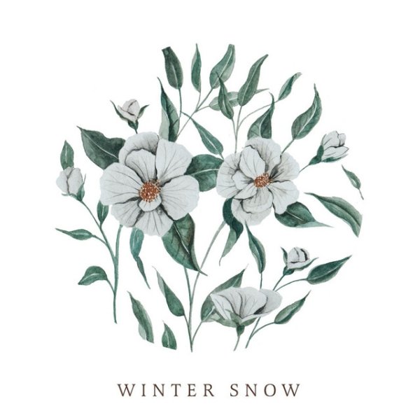 Winter Snow Album 