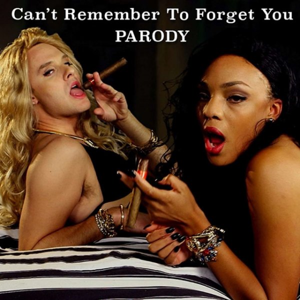 Can't Remember to Forget You Parody Album 