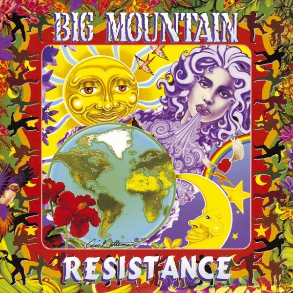Big Mountain Resistance, 1995