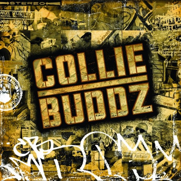 Collie Buddz Album 