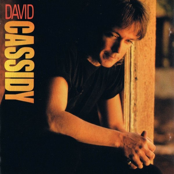 David Cassidy David Cassidy, 1990
