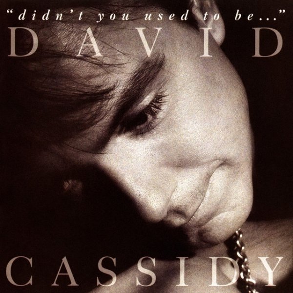 David Cassidy Didn't You Used To Be..., 1992
