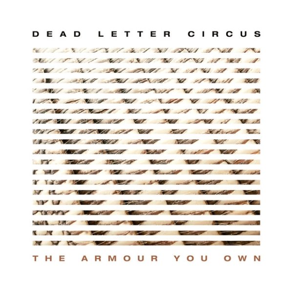 The Armour You Own Album 