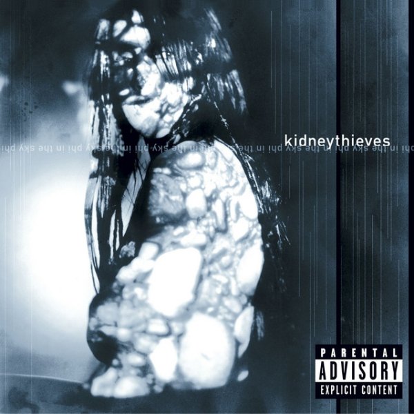 Kidneythieves Phi In The Sky, 2001