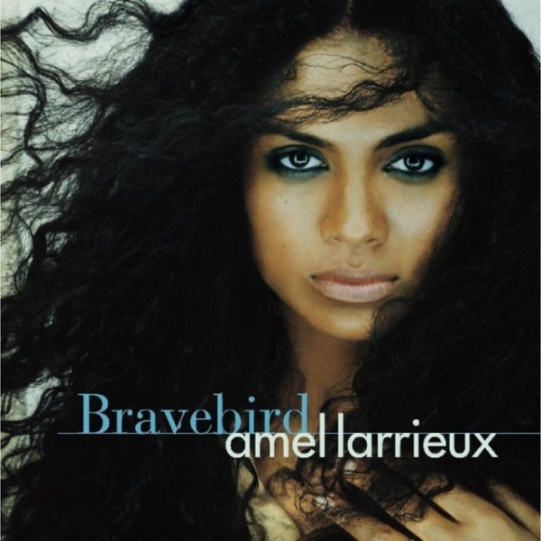 Amel Larrieux Bravebird, 2004
