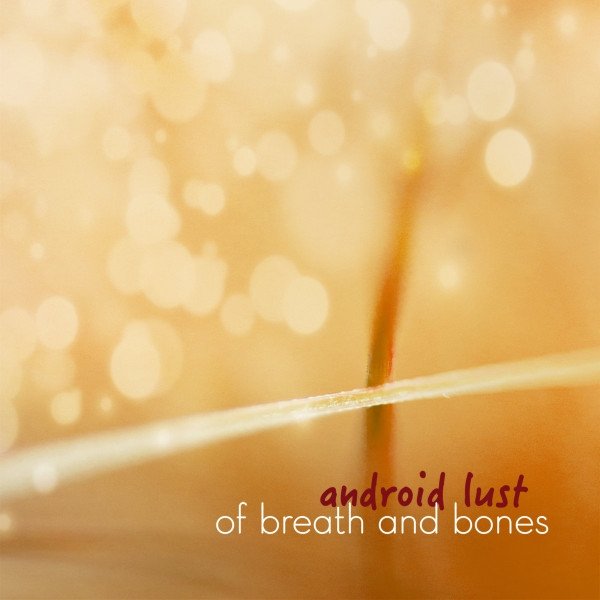 Of Breath And Bones Album 