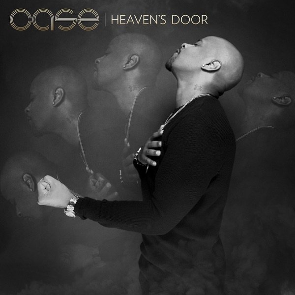 Case Heaven's Door, 2015