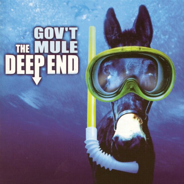 Gov't Mule The Deep End, 2006