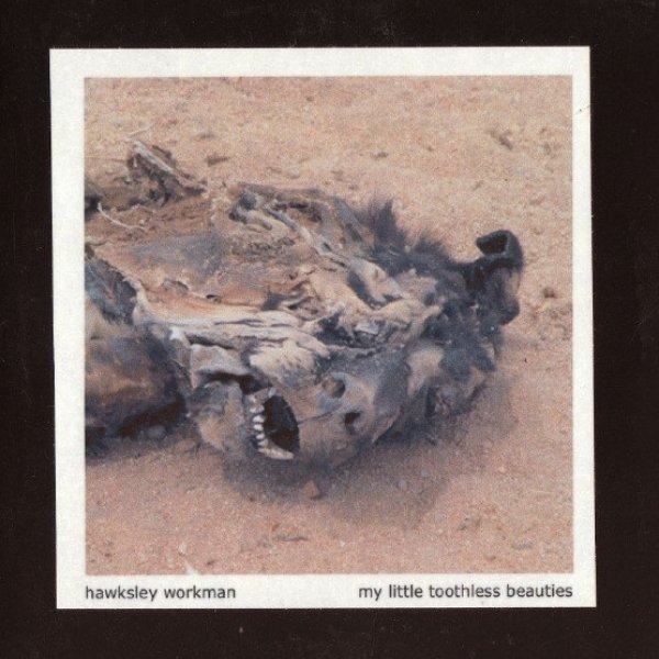 Album My Little Toothless Beauties - Hawksley Workman