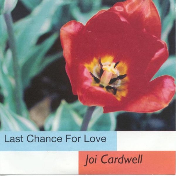 Last Chance For Love Album 