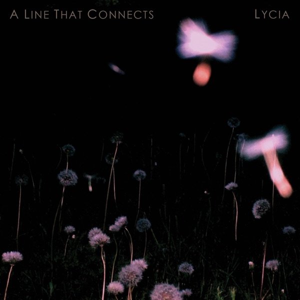 Lycia A Line That Connects, 2015
