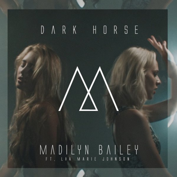 Dark Horse Album 