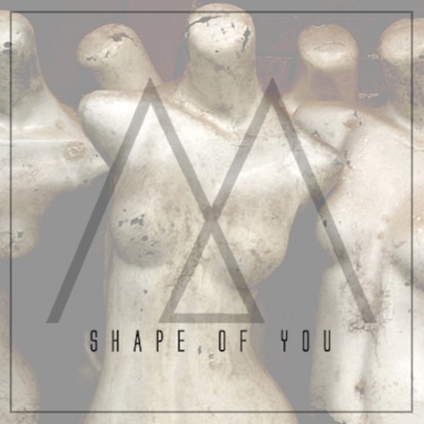Shape of You Album 