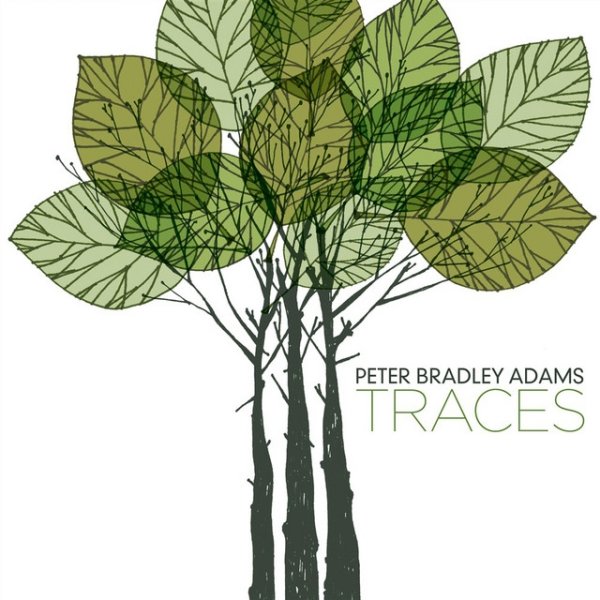 Peter Bradley Adams Traces, 2009