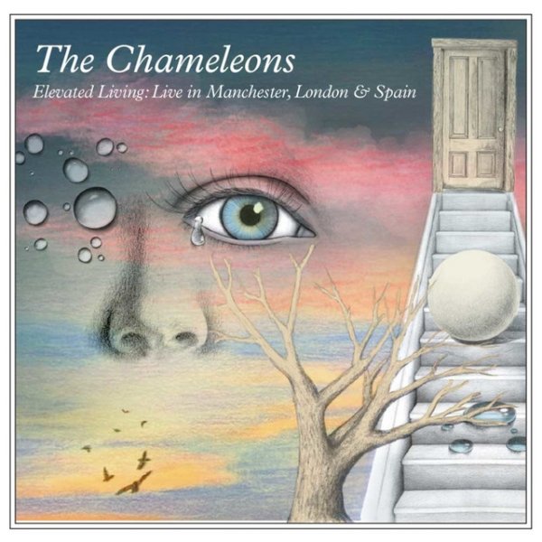 The Chameleons Elevated Living: Live In Manchester, London & Spain, 2021