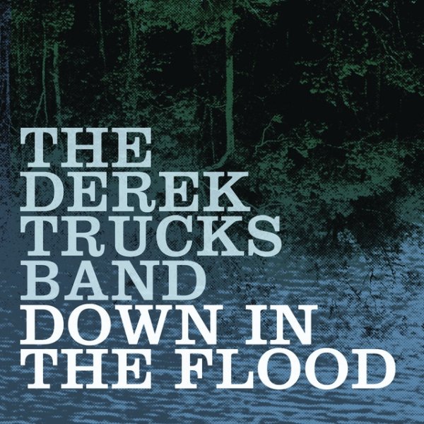 Down In the Flood Album 