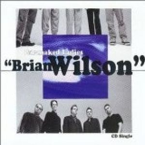 Brian Wilson Album 