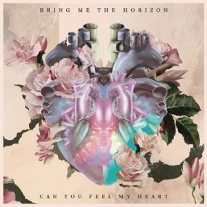 Can You Feel My Heart Album 