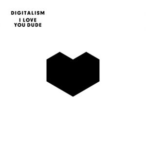 Digitalism I Love You Dude, 2011
