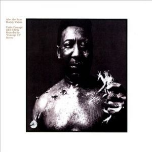 Album Muddy Waters - After the Rain
