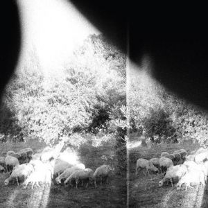 Godspeed You! Black Emperor 'Asunder, Sweet and Other Distress', 2015