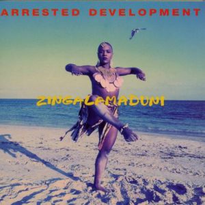 Arrested Development Zingalamaduni, 1994