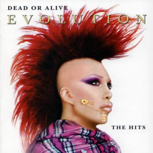 Evolution: The Hits Album 
