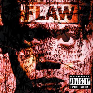 Flaw Through the Eyes, 2001