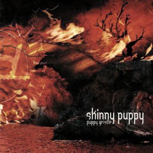 Skinny Puppy Puppy Gristle, 2002