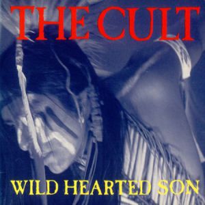 Wild Hearted Son Album 