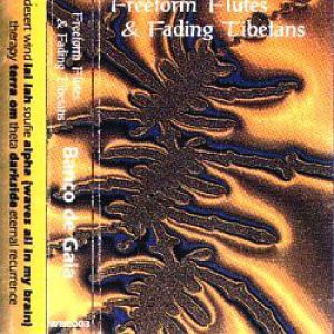 Banco De Gaia Freeform Flutes & Fading Tibet, 1992