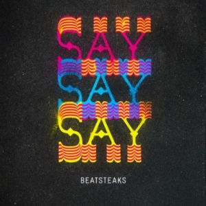 SaySaySay Album 