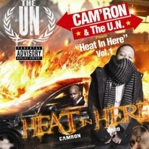 Cam'ron Heat in Here Vol. 1, 2010
