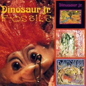 Fossils Album 