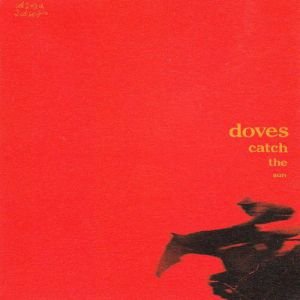 Doves Catch the Sun, 2000