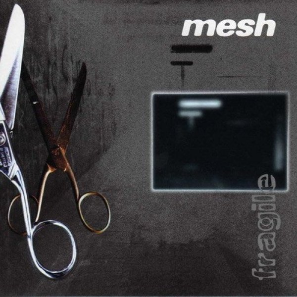 Mesh  Fragile, 1994