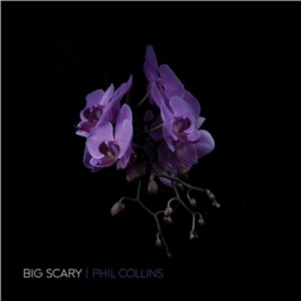Phil Collins Album 